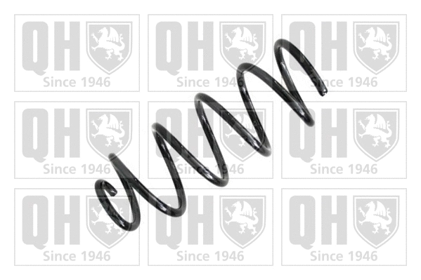 Suspension Spring (QCS6254)