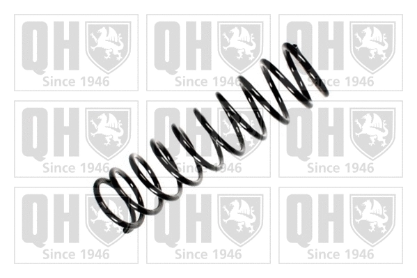 Suspension Spring (QCS8053)