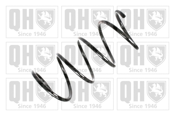 Suspension Spring (QCS8065)