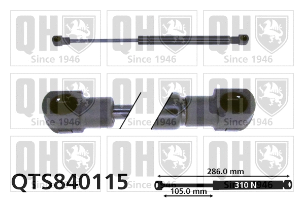 Gas Spring, boot/cargo area (QTS840115)