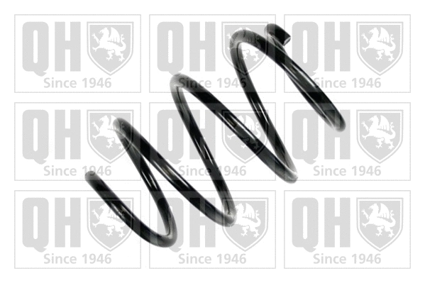 Suspension Spring (QCS6727)