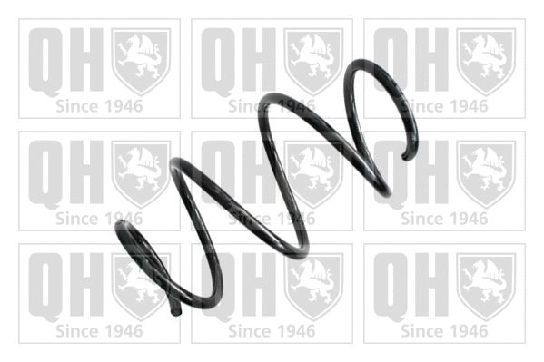 Suspension Spring (QCS6560)