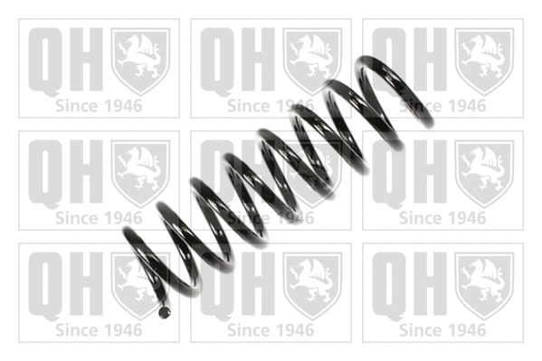Suspension Spring (QCS5238)