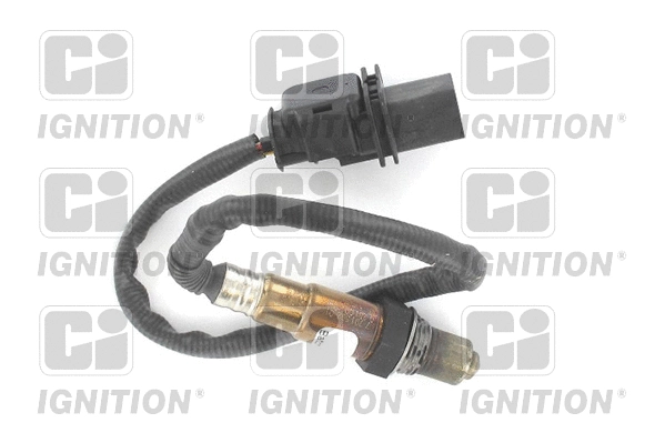 Lambda Sensor (XLOS1838)