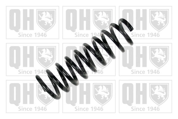 Suspension Spring (QCS5905)