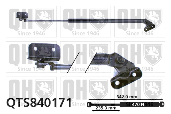 Gas Spring, boot/cargo area (QTS840171)