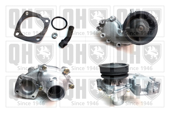 Water Pump, engine cooling (QCP3053)