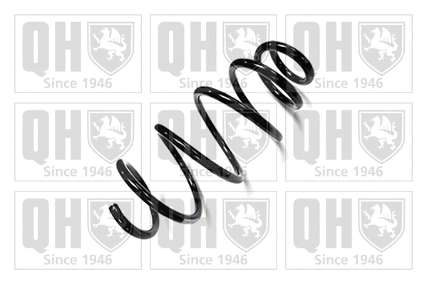 Suspension Spring (QCS6191)