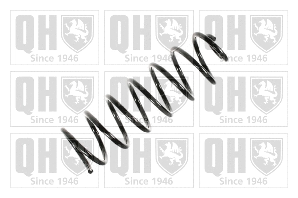 Suspension Spring (QCS6585)
