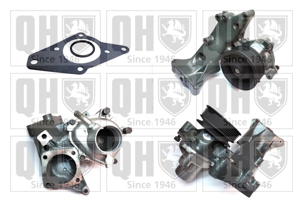 Water Pump, engine cooling (QCP3379)