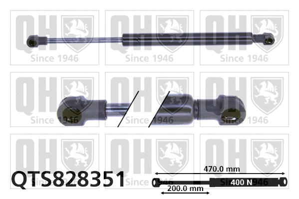Gas Spring, boot/cargo area (QTS828351)