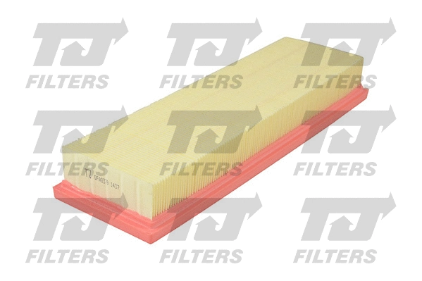 Air Filter (QFA0379)