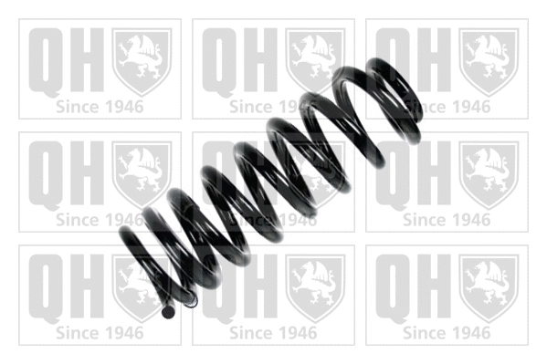 Suspension Spring (QCS5826)