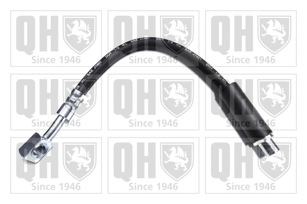 Brake Hose (BFH5359)