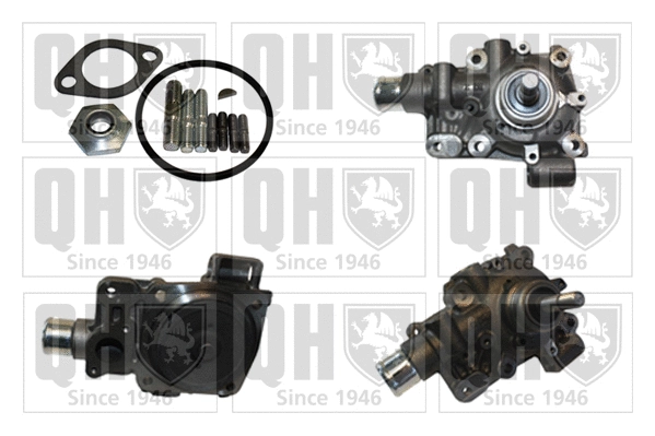 Water Pump, engine cooling (QCP3806)