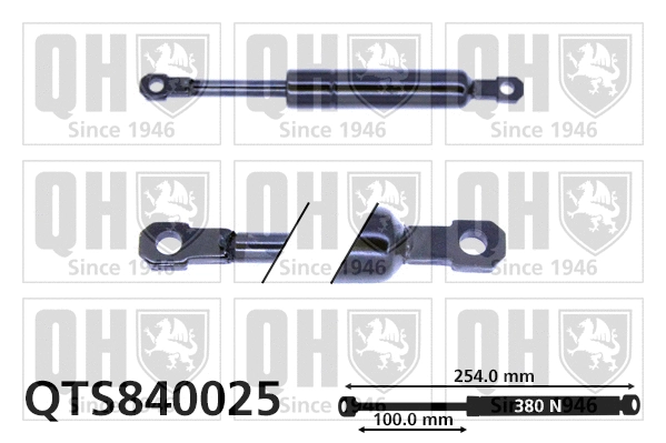 Gas Spring, bonnet (QTS840025)