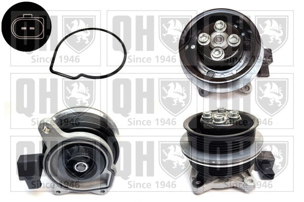 Water Pump, engine cooling (QCP3907)