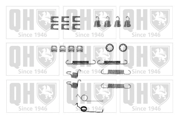 Accessory Kit, brake shoes (BFK208)