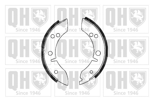 Brake Shoe Set (BS534)