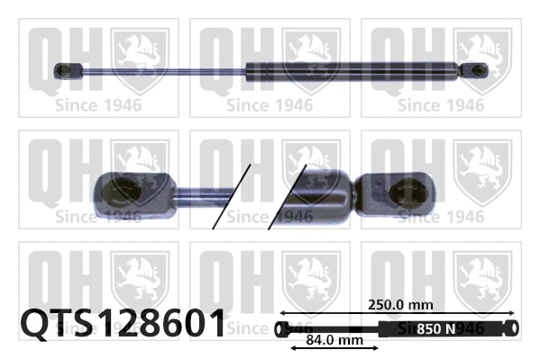 Gas Spring, bonnet (QTS128601)