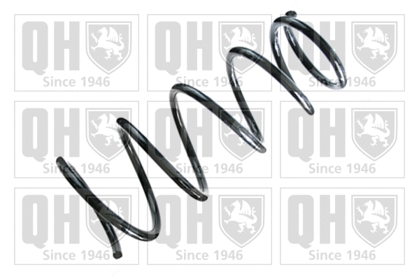 Suspension Spring (QCS6642)