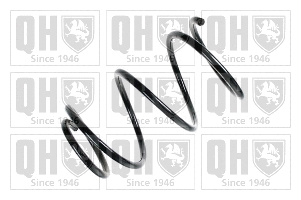 Suspension Spring (QCS6316)