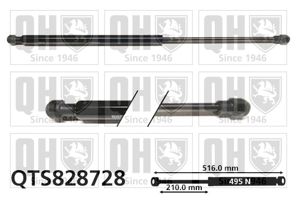 Gas Spring, boot/cargo area (QTS828728)