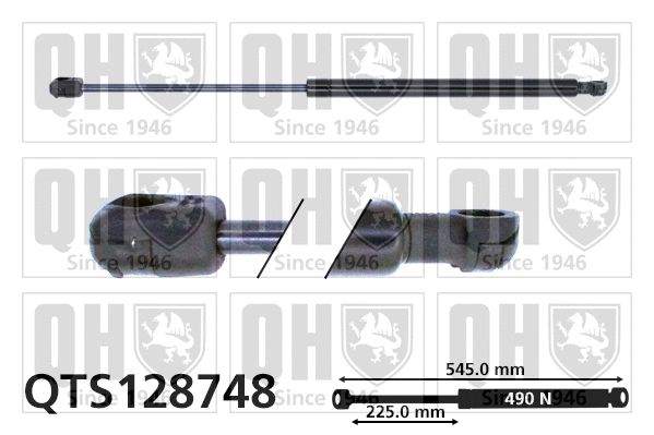 Gas Spring, boot/cargo area (QTS128748)