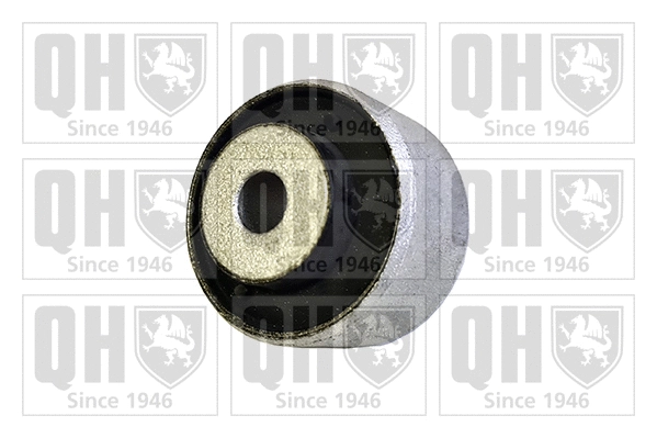 Mounting, control/trailing arm (EMS8803)