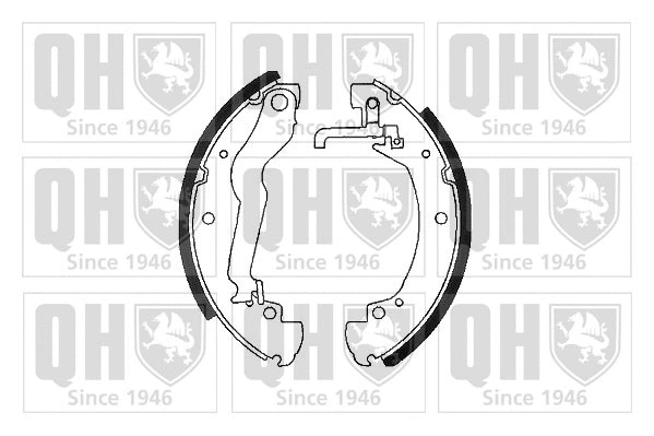 Brake Shoe Set (BS891)