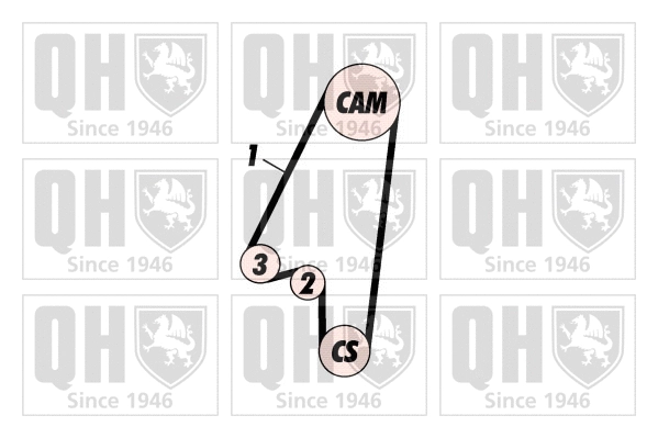 Timing Belt Kit (QBK349)