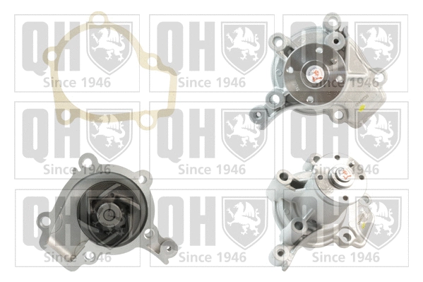 Water Pump, engine cooling (QCP3336)