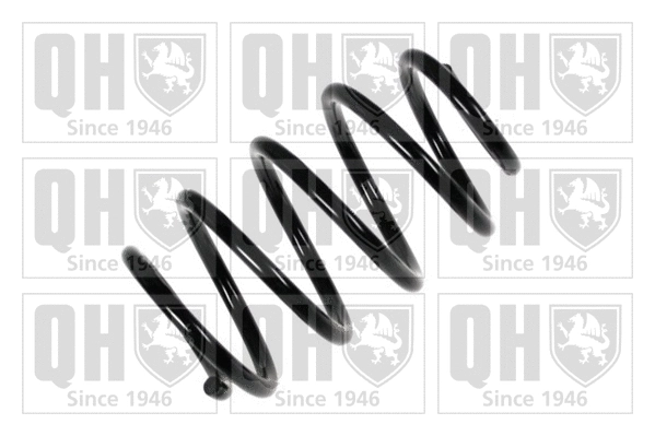 Suspension Spring (QCS6948)