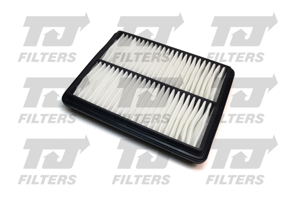 Air Filter (QFA0743)