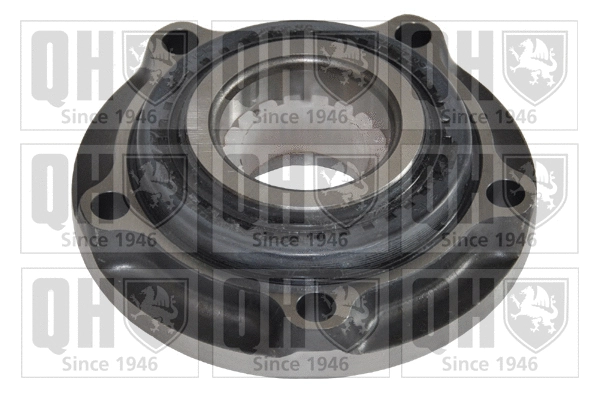 Wheel Bearing Kit (QWB776)