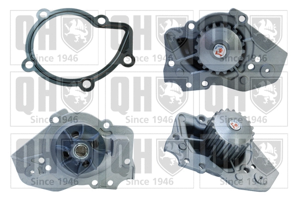 Water Pump, engine cooling (QCP2941)