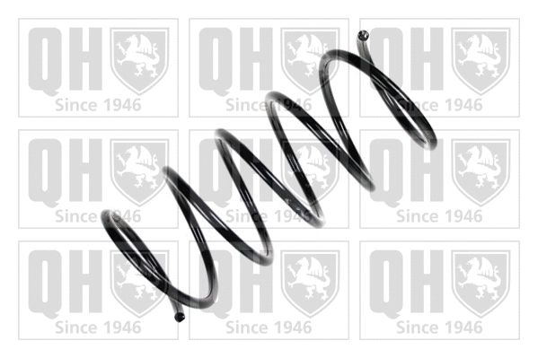 Suspension Spring (QCS8132)