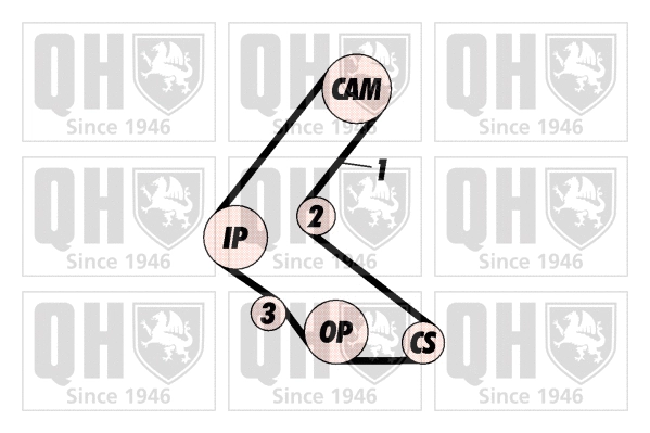 Timing Belt Kit (QBK571)