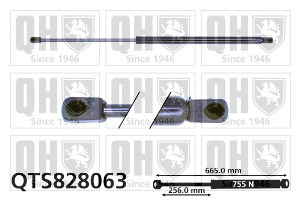 Gas Spring, boot/cargo area (QTS828063)