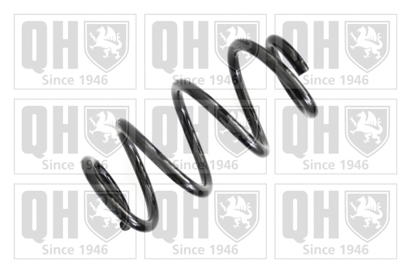 Suspension Spring (QCS5484)