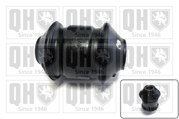 Mounting, control/trailing arm (EMS1864)