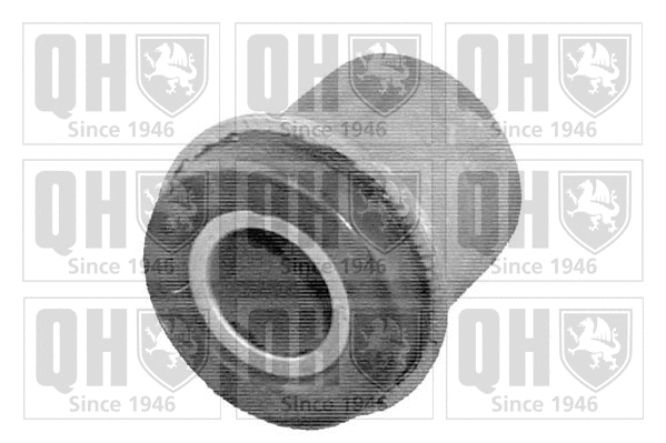 Mounting, control/trailing arm (EMS2528)