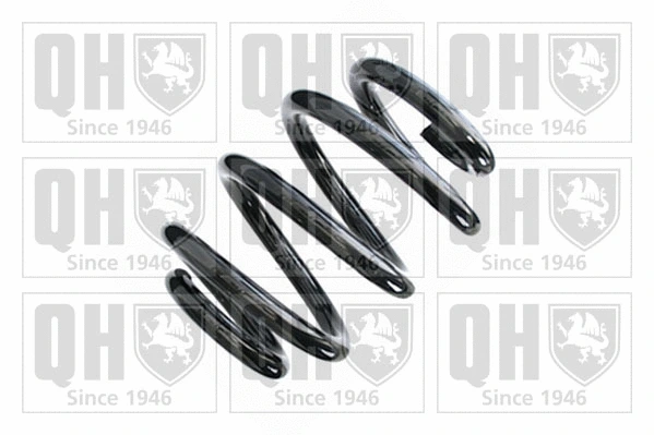 Suspension Spring (QCS8750)