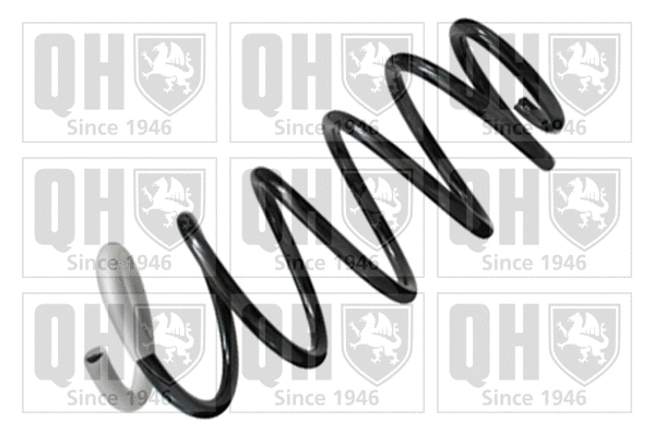 Suspension Spring (QCS6242)