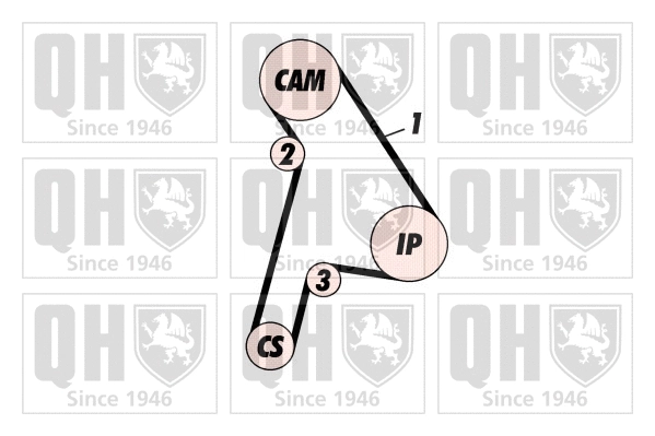 Timing Belt Kit (QBK246)