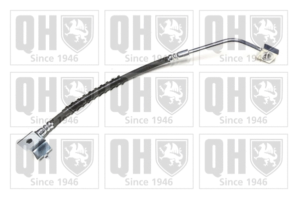 Brake Hose (BFH6100)