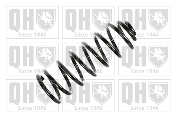 Suspension Spring (QCS6400)