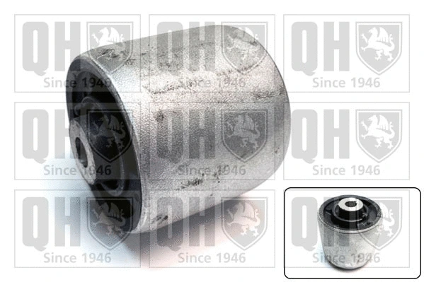 Mounting, control/trailing arm (EMS8789)