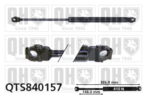 Gas Spring, boot/cargo area (QTS840157)