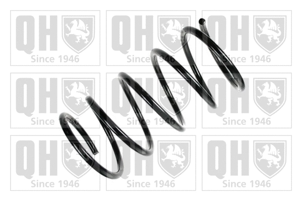 Suspension Spring (QCS6335)